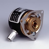 /album/%d7%92%d7%9c%d7%a8%d7%99%d7%aa%20%d7%aa%d7%9e%d7%95%d7%a0%d7%95%d7%aa/a2rmhf-jpg1/