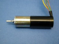 /album/%d7%92%d7%9c%d7%a8%d7%99%d7%aa%20%d7%aa%d7%9e%d7%95%d7%a0%d7%95%d7%aa/bl-1732-jpg/